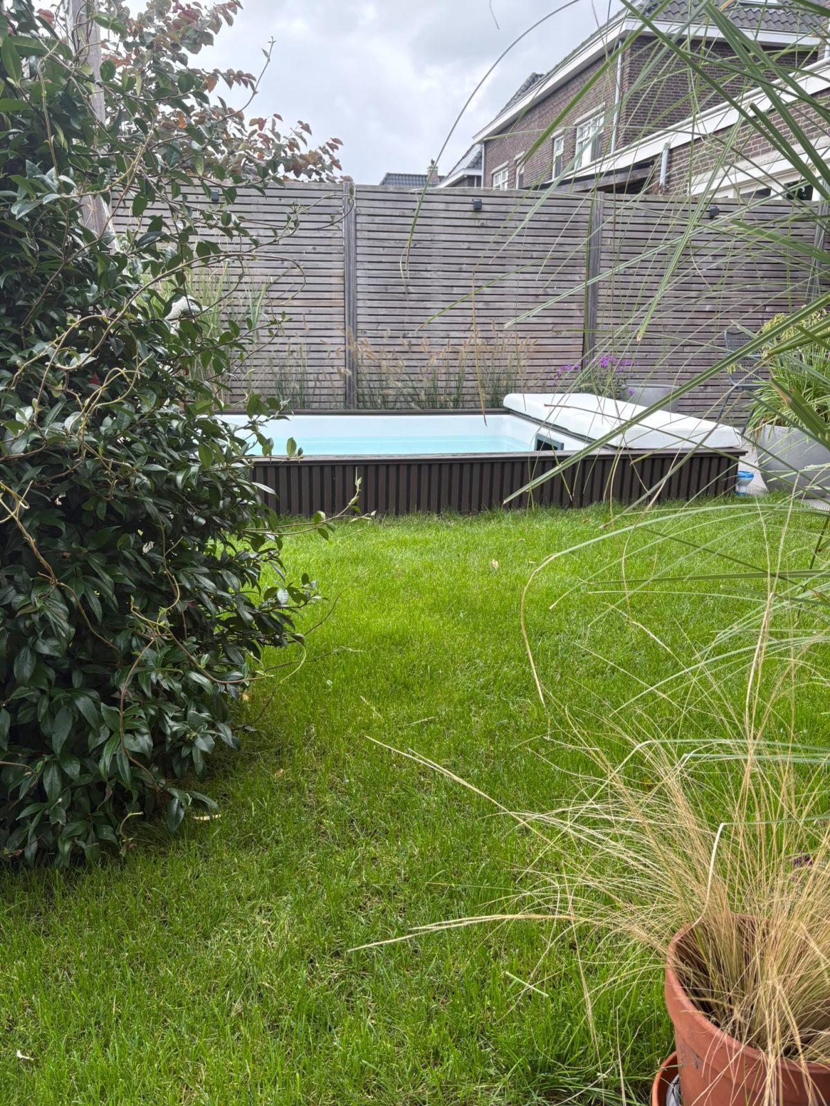 Minipool achter de beplanting, met het terras en de tuin op de achtergrond. · foto 5