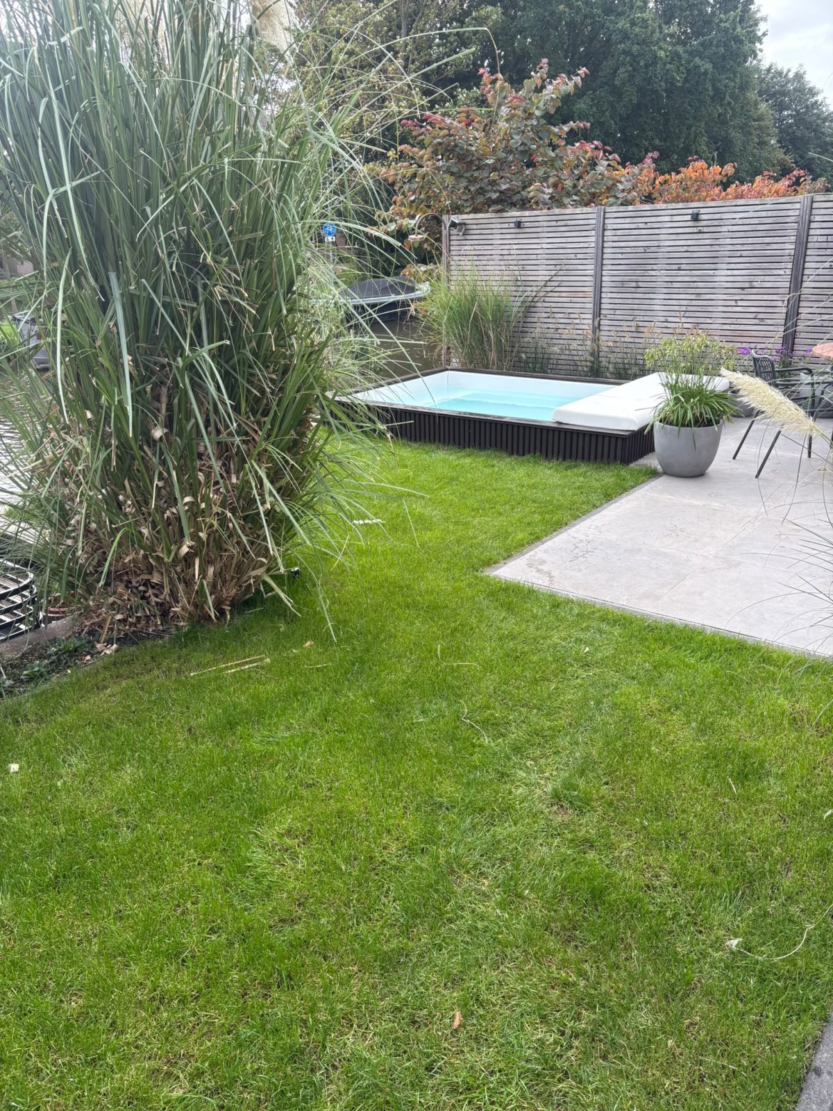 Minipool tussen het gazon, terras en hoge beplanting in Zoeterwoude Rijndijk. · foto 4