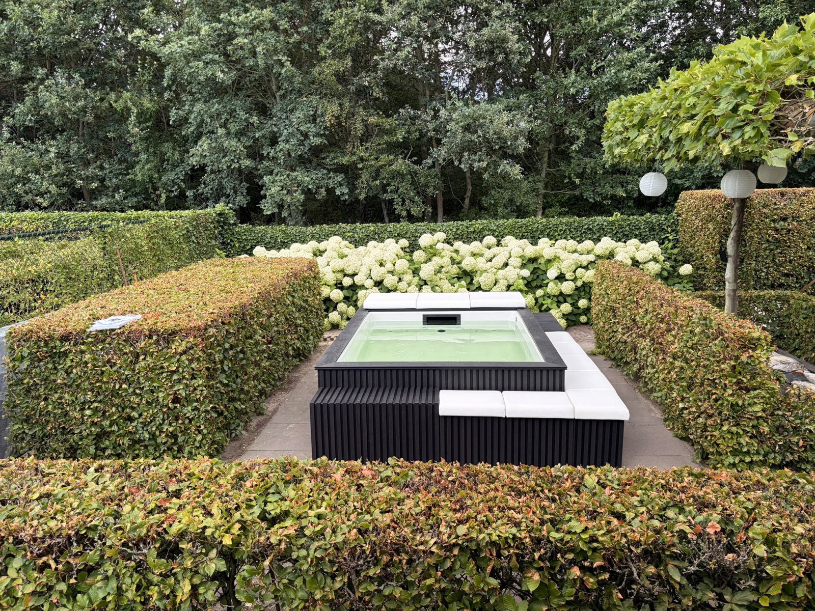 Vooraanzicht van de minipool tussen groene hagen en hortensia’s in Ossendrecht.
